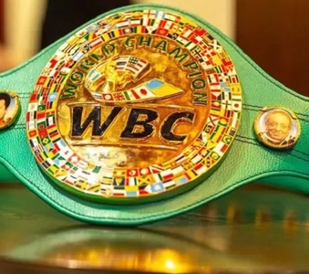 WBC может изменить свое решение по чемпионскому бою Мейирима Нурсултанова?