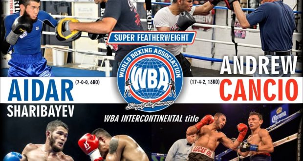 На кону титул WBA InterContinental - Видеоанонс боя Шарибаев-Канчио